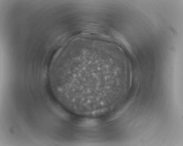 X0000115410073200911241336