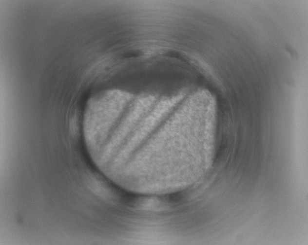 X0000115410074200911241336