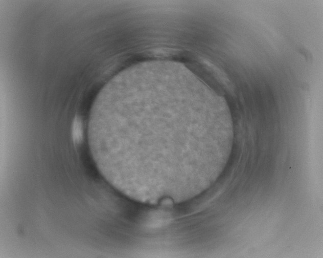 X0000115410075200911241336