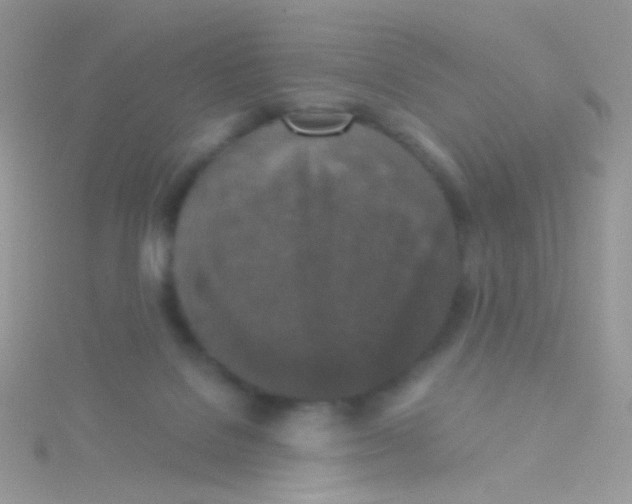 X0000115410076200911241336