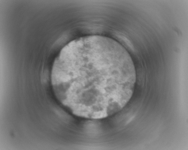 X0000115410077200911241336