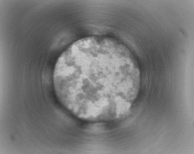 X0000115410078200911241336