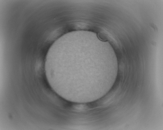 X0000115410079200911241336