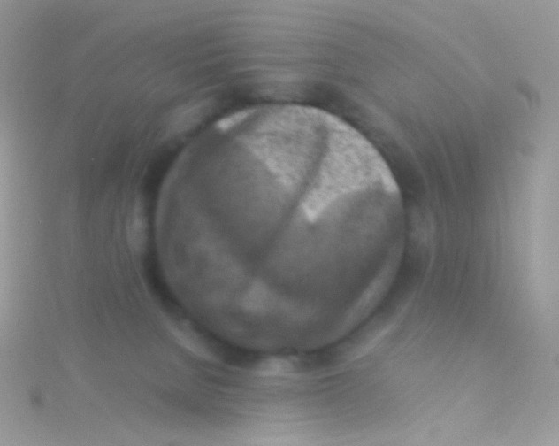 X0000115410080200911241336