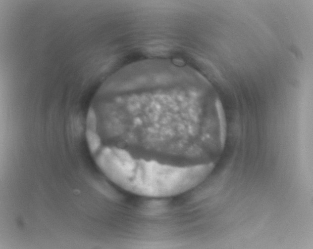 X0000115410081200911241336