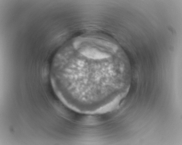 X0000115410082200911241336