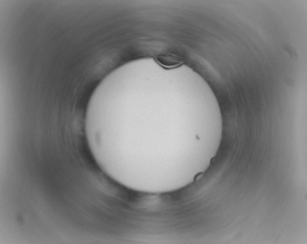 X0000115410083200911241336