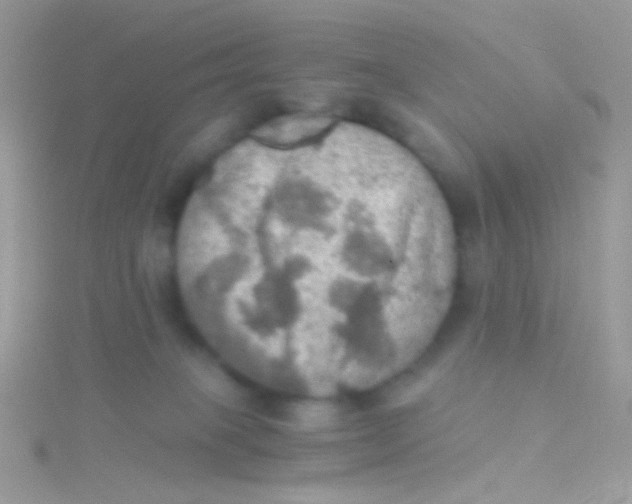 X0000115410085200911241336