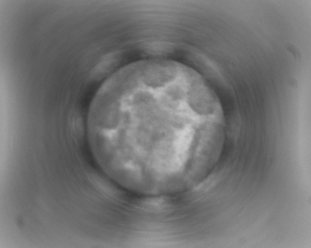 X0000115410086200911241336