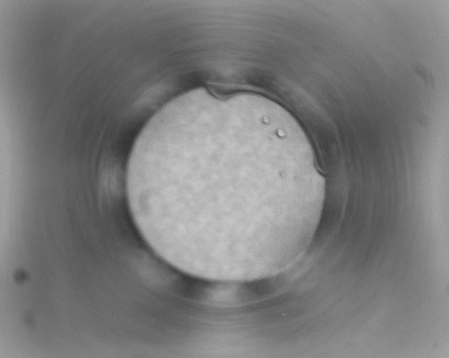 X0000115410090200911241336