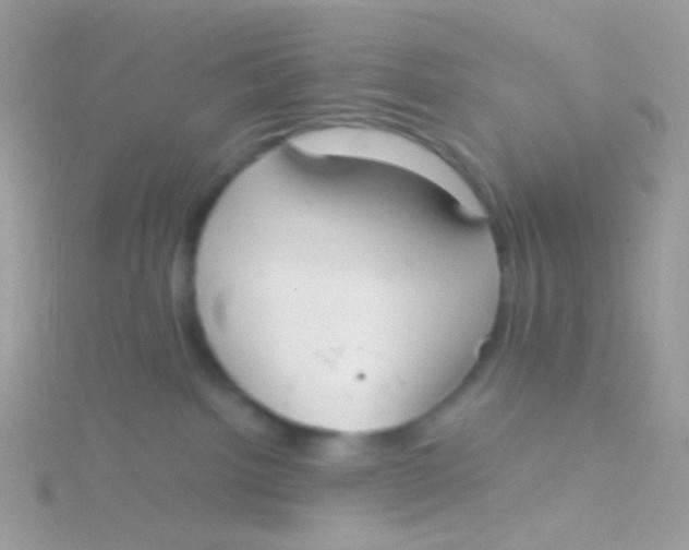 X0000115410092200911241336