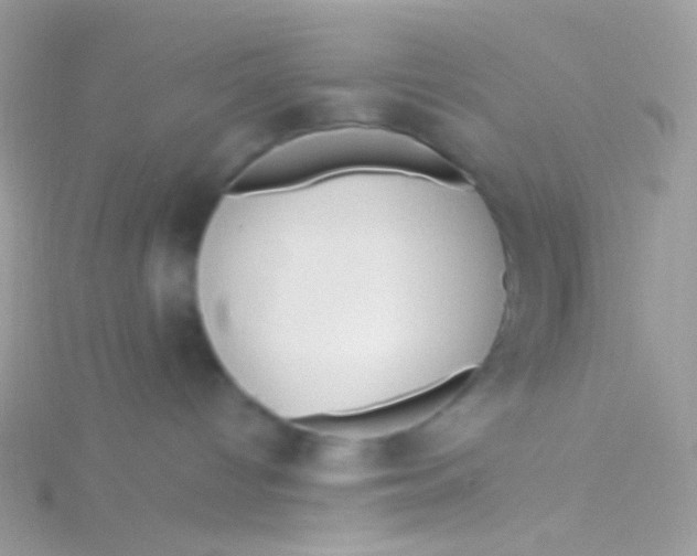 X0000115410096200911241336