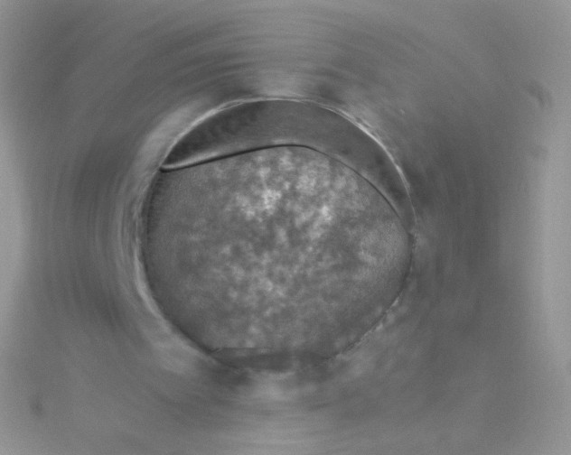 X0000115410097200911241336