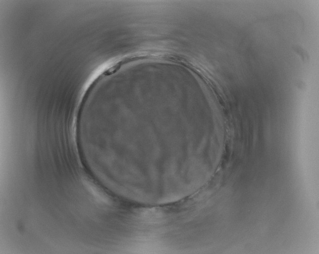 X0000115410100200911241336