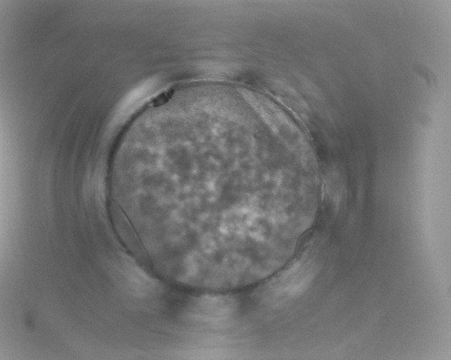 X0000115410101200911241336