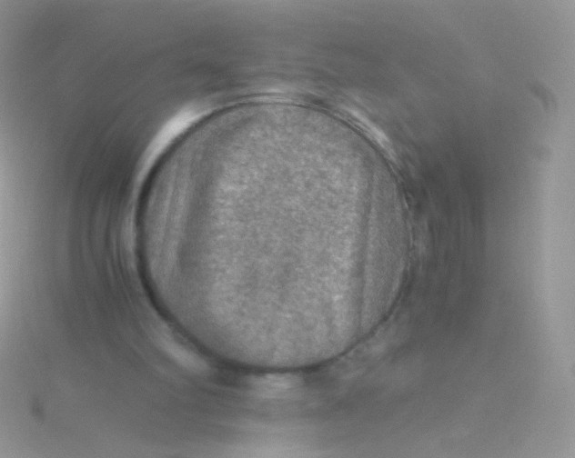 X0000115410102200911241336