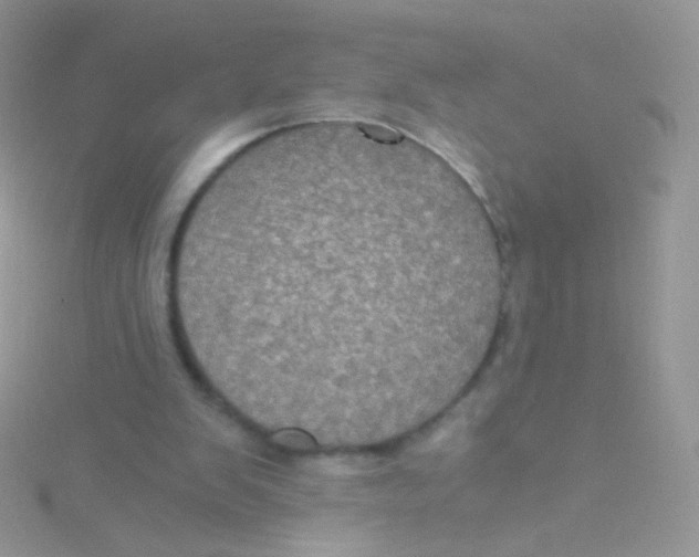 X0000115410103200911241336