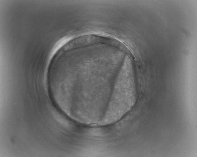 X0000115410104200911241336