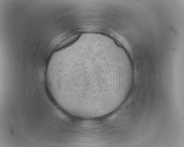 X0000115410105200911241336