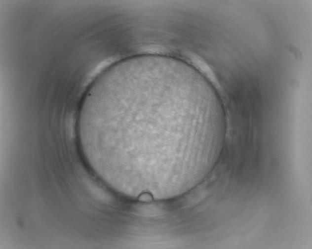 X0000115410106200911241336