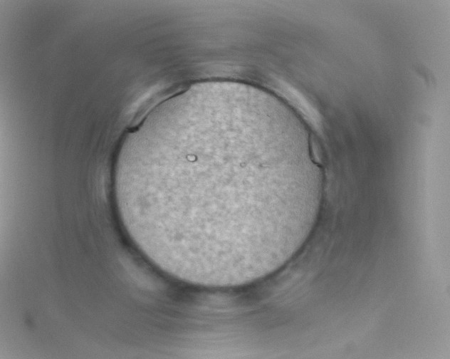 X0000115410107200911241336