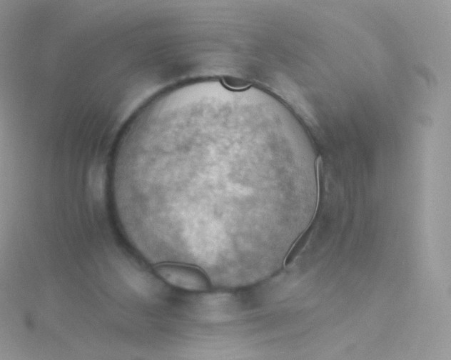 X0000115410108200911241336