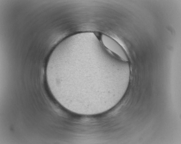 X0000115410109200911241336