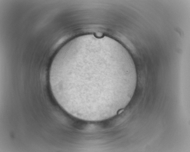 X0000115410111200911241336