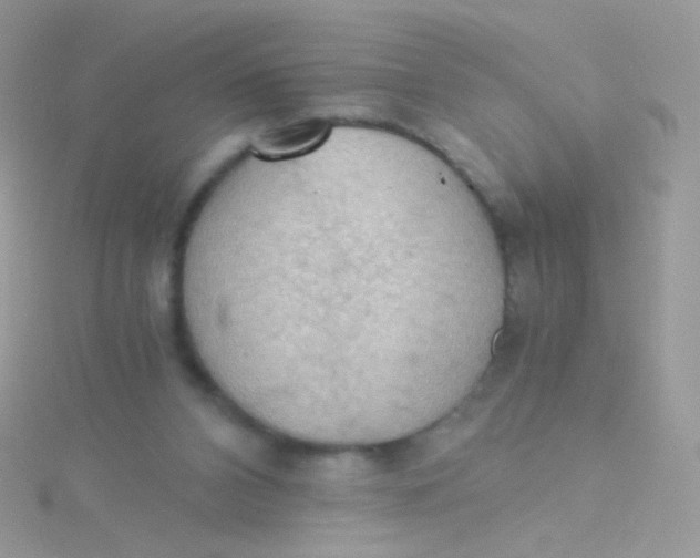 X0000115410112200911241336