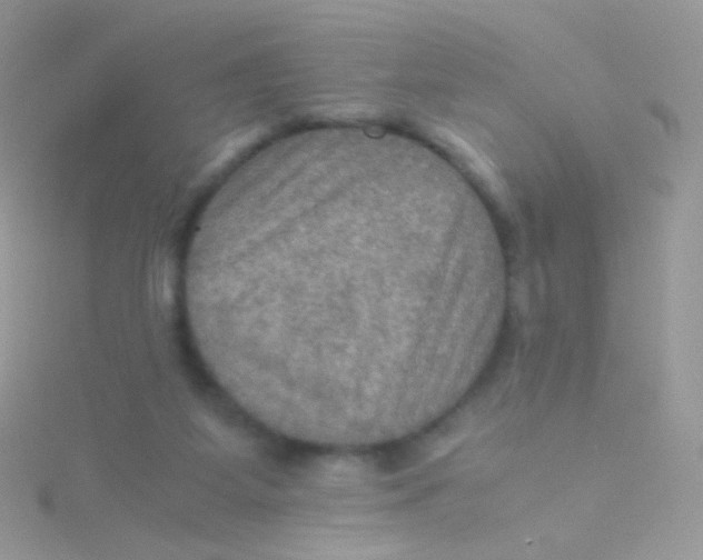 X0000115410115200911241335