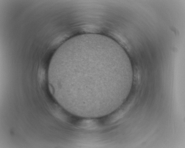 X0000115410117200911241335