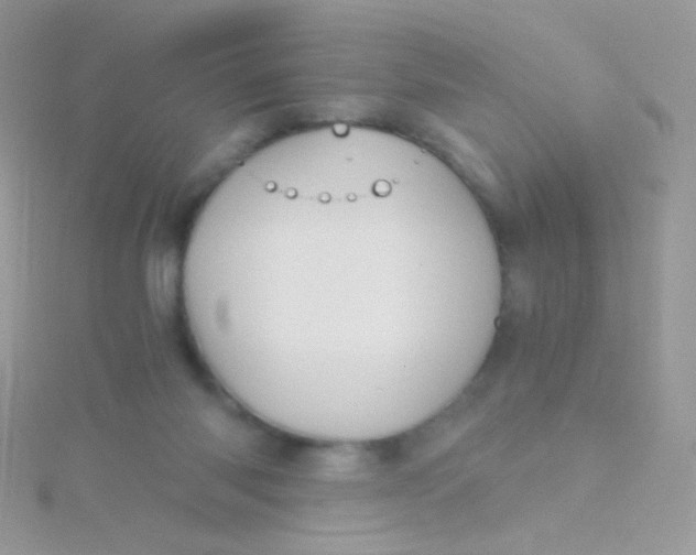 X0000115410118200911241335