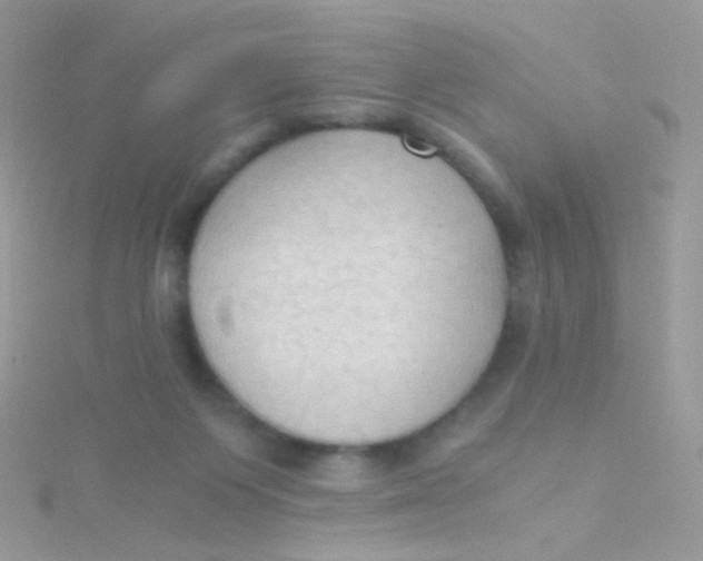 X0000115410119200911241335