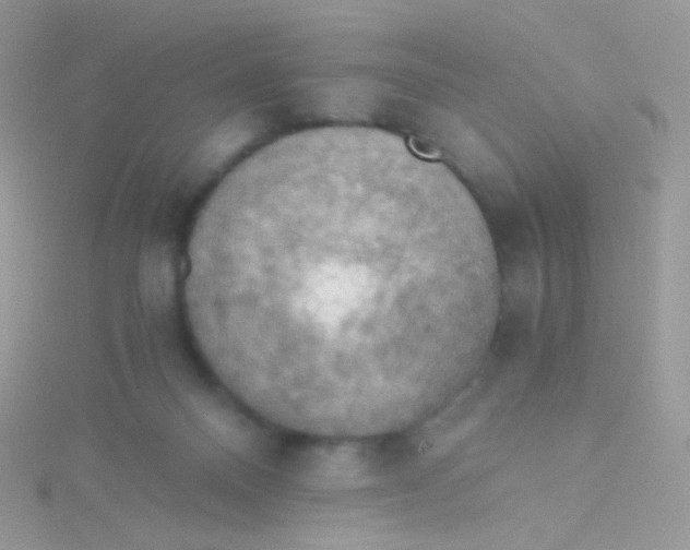 X0000115410120200911241335