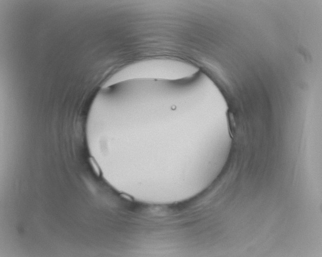 X0000115410121200911241335