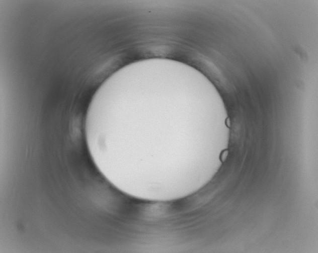 X0000115410122200911241335