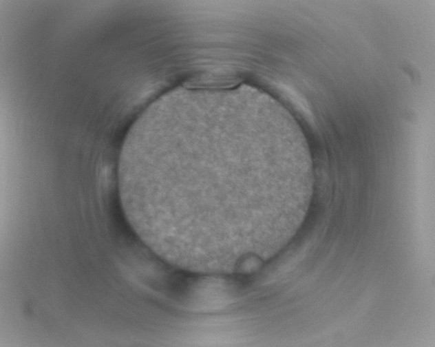 X0000115410123200911241335