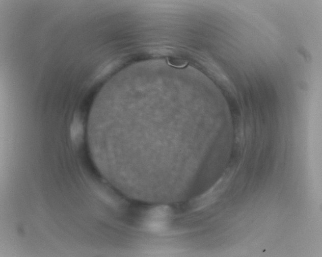 X0000115410124200911241335