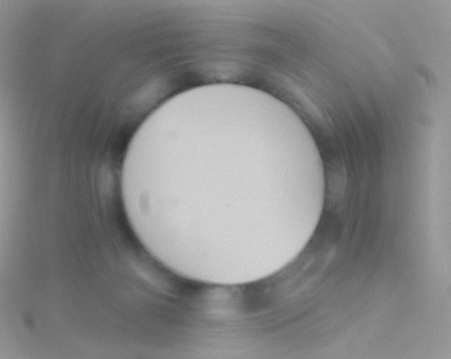 X0000115410126200911241335