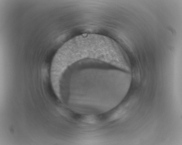 X0000115410127200911241335