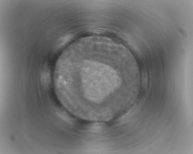 X0000115410128200911241335