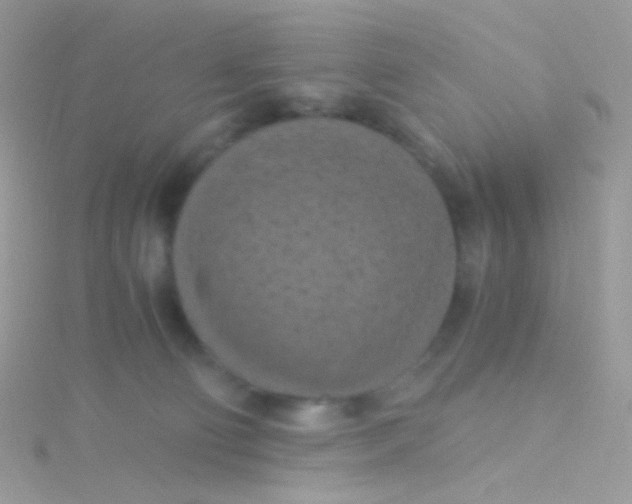 X0000115410130200911241335