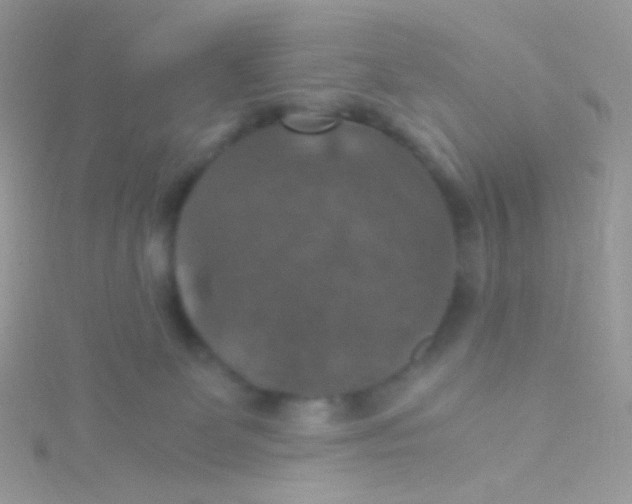 X0000115410131200911241335