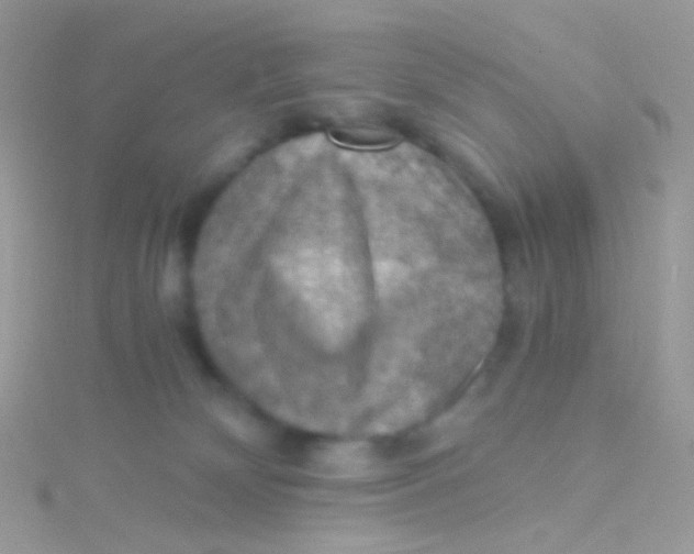 X0000115410132200911241335