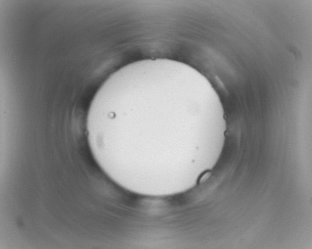 X0000115410133200911241335