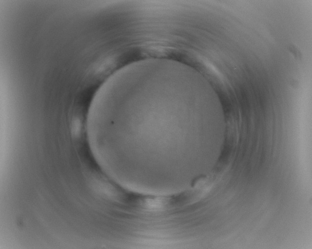 X0000115410134200911241335