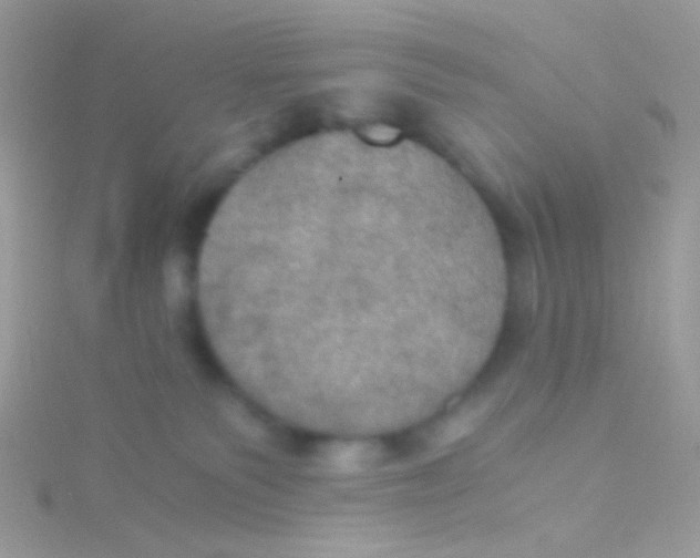 X0000115410135200911241335