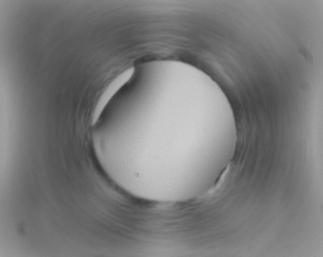 X0000115410136200911241335