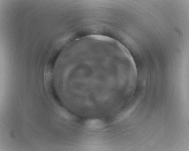 X0000115410137200911241335