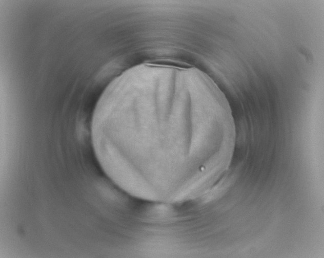 X0000115410140200911241335